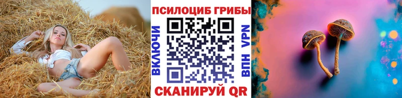 наркошоп  OMG tor  Псилоцибиновые грибы Psilocybe  Алдан 