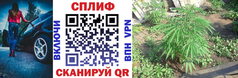 Бошки Шишки MAZAR  Алдан 